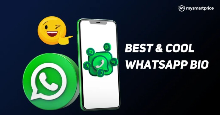 Bio Whatsapp Singkat Bahasa Inggris Dan Artinya