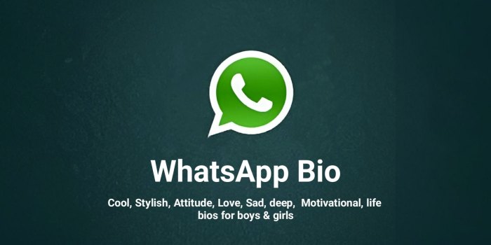 Bio Whatsapp Singkat Bahasa Inggris Dan Artinya