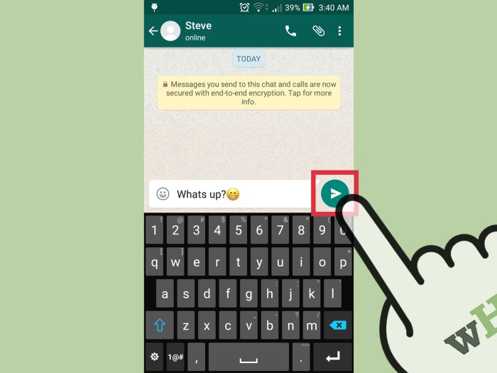 Whatsapp strikethrough italic tilde