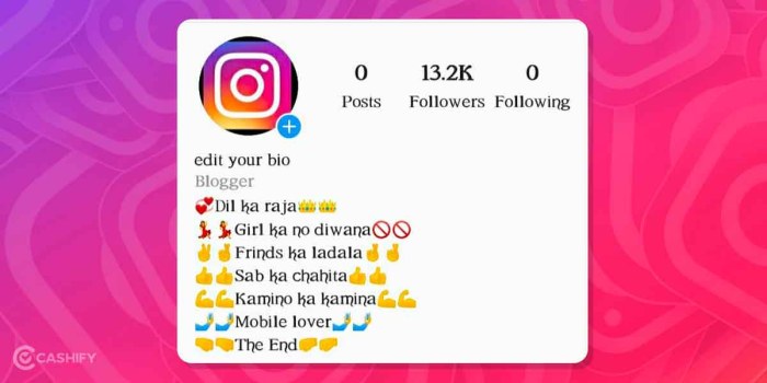 Cara Membuat Bio Ig Keren