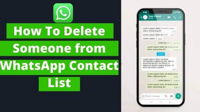 Cara Menghapus Kontak Di Whatsapp Secara Bersamaan