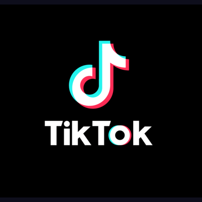 Tiktok fonts text use