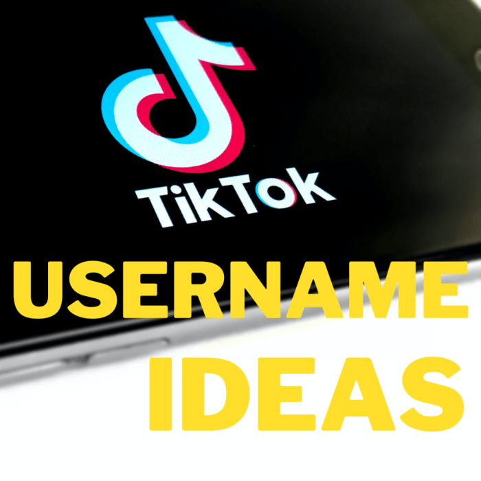 Nama Pengguna Yang Bagus Untuk Tiktok